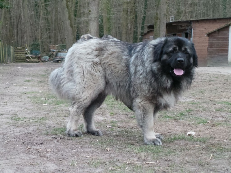 Hatzar Des Rivieres De Thalos